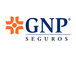 GNP